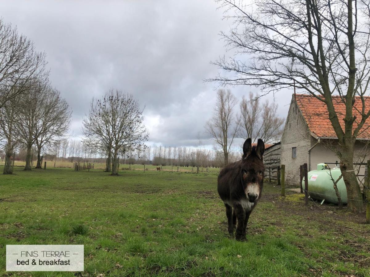 Appartement Aan Puyenbroeck Wachtebeke Buitenkant foto